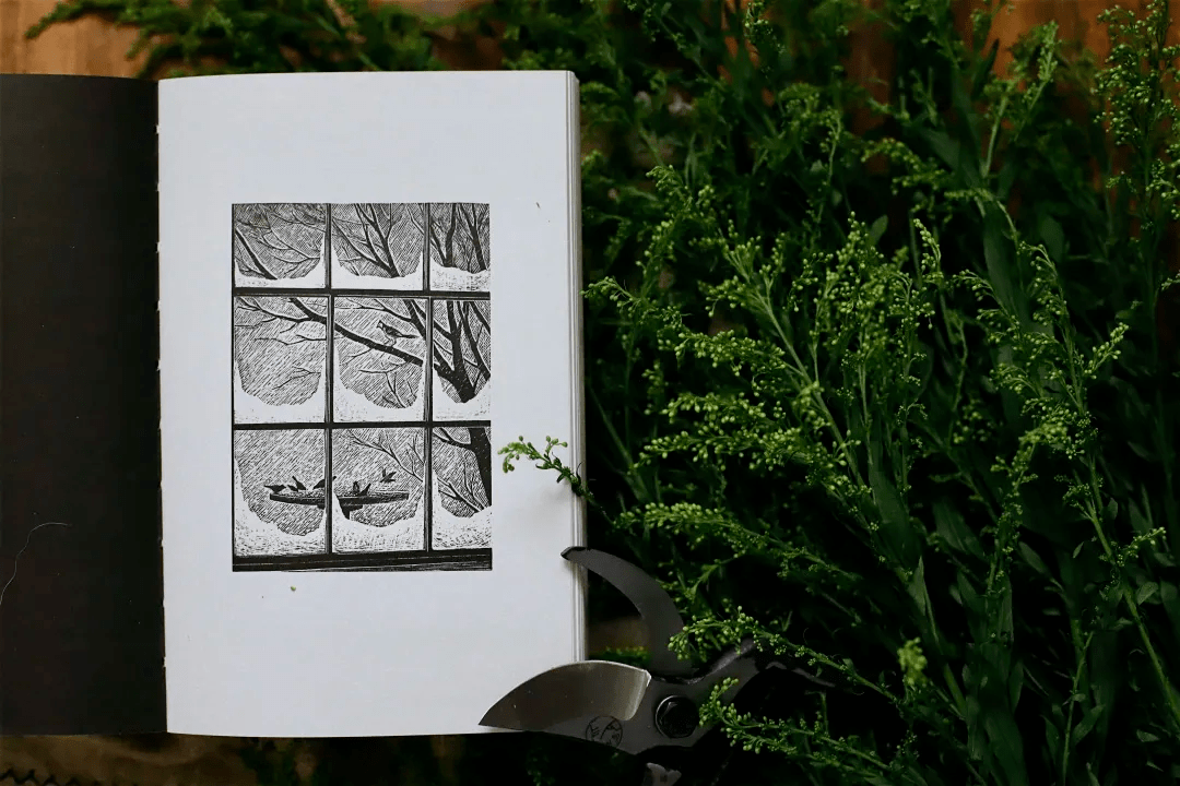 物质极简灵魂丰盈这才是梭罗作品应有的样子