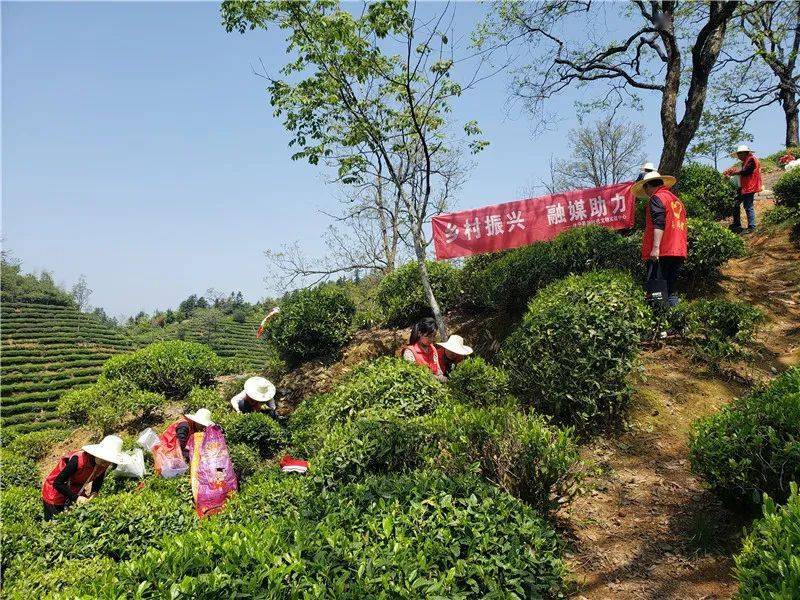 4月21日,縣融媒體中心組織中心幹部職工到月潭湖鎮小璫村四畝充組開展