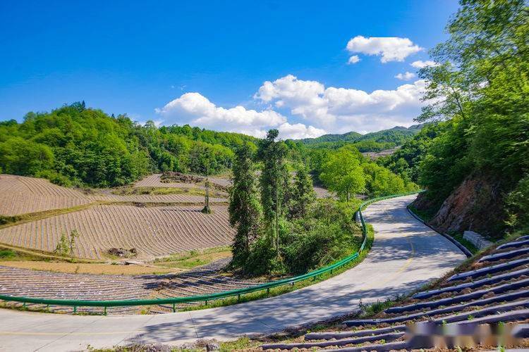 两日游六景汉中红军路上风光美