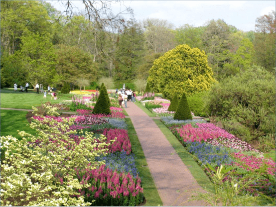单面观赏花境双面观赏花境对应式花境