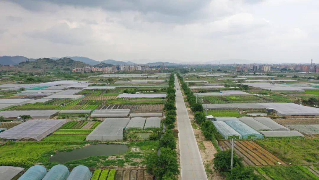 南径镇,隶属于广东省普宁市,位于普宁市东部,东与潮阳区贵屿镇和谷饶