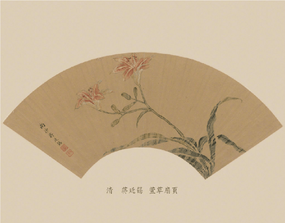 母亲节乌鸦反哺萱草以报