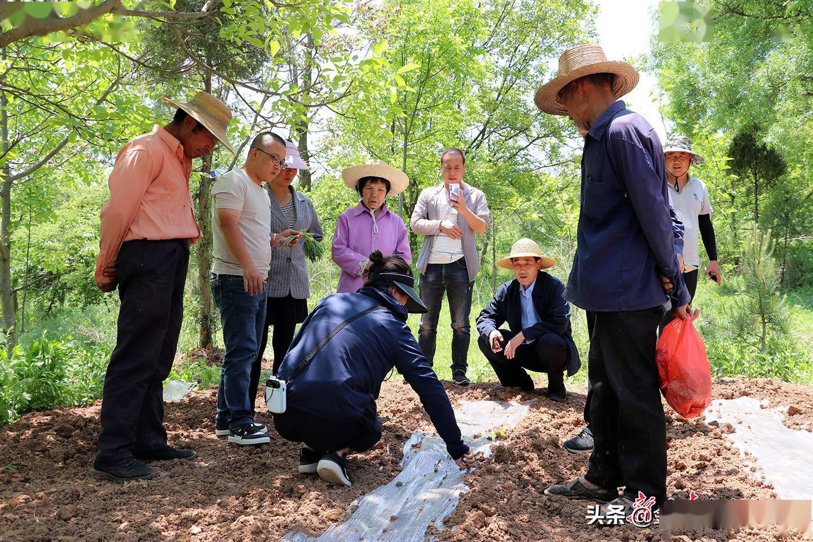 西和县西高山名人图片