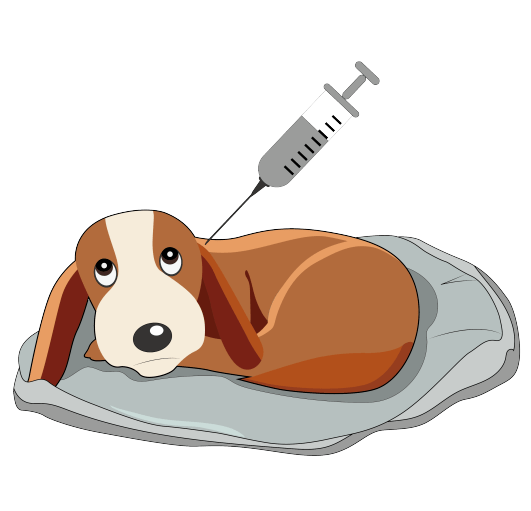 宠物去哪打疫苗请认准滨江这20家机构