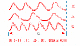 中医把脉手把手教最全动图展示并心法口诀