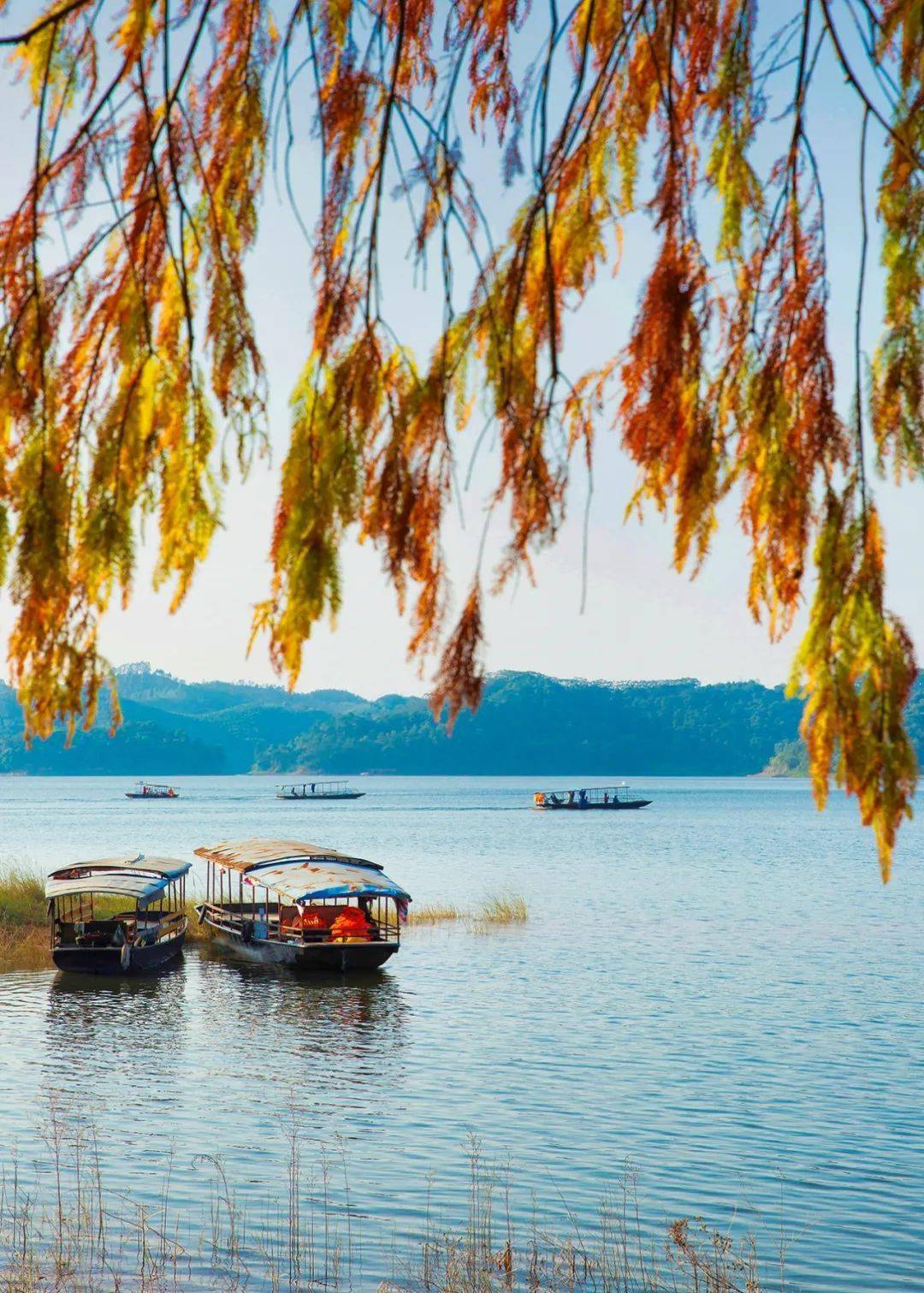 这里既有高峡出平湖的幽荡,又有暗河水幽美的深远,既能看见满眼天坑的