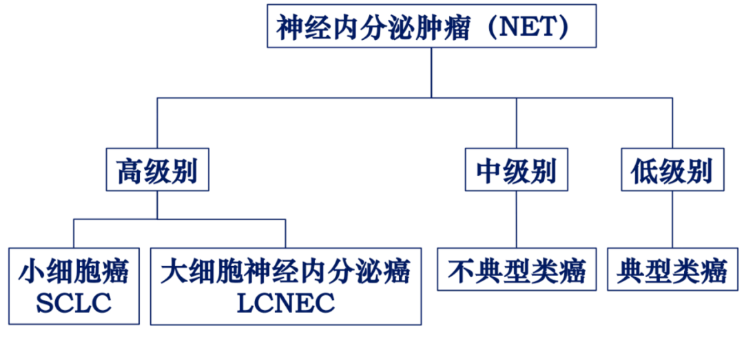 如何看懂肺癌【病理报告】?