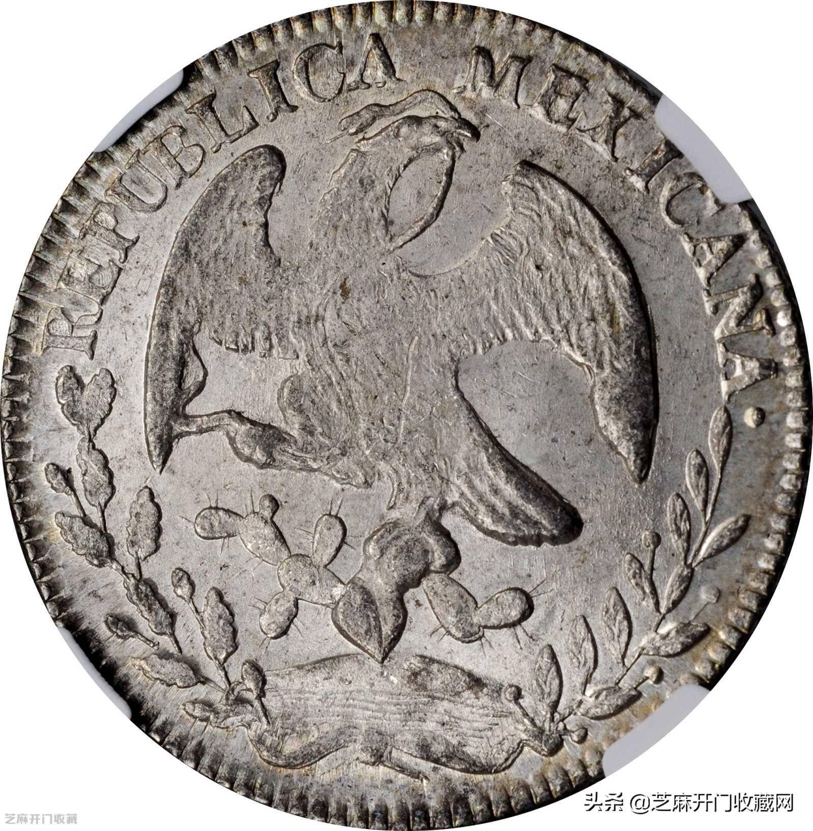 墨西哥鹰洋，升值潜力大_搜狐网