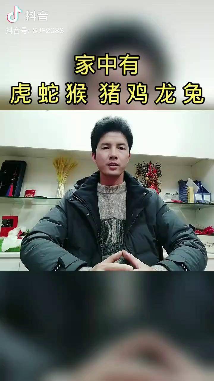十二生肖抖音好物年货节生肖兔传统文化生肖情感励志