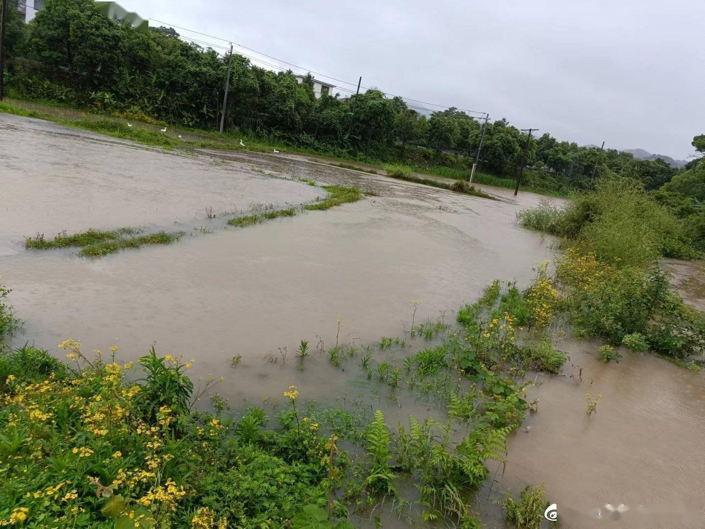 江西普降暴雨部分农田被淹