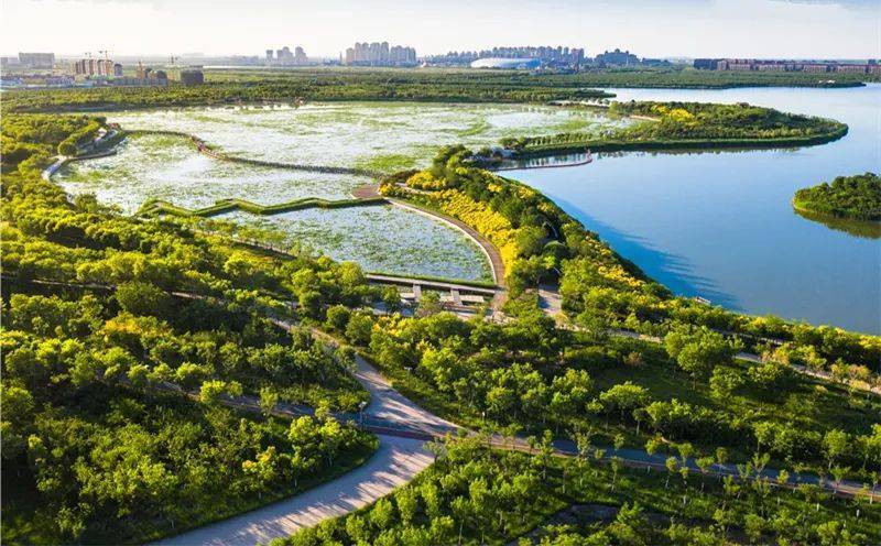 聚焦2022年区长访谈东丽湖区域的交通出行以及区域规划发展