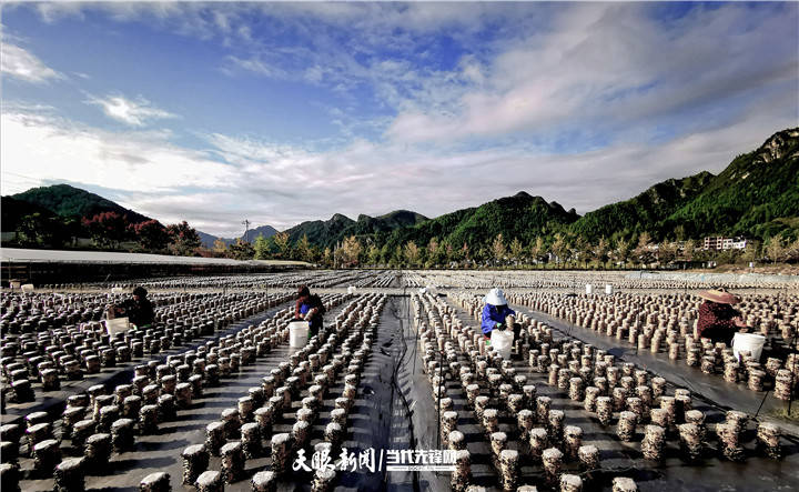 春雨时节,雨雾缭绕的印江县木黄镇显得格外美丽.