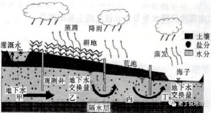 每日一题：干旱区大水漫灌为什么没有盐碱化_地下水_灌溉_海子里
