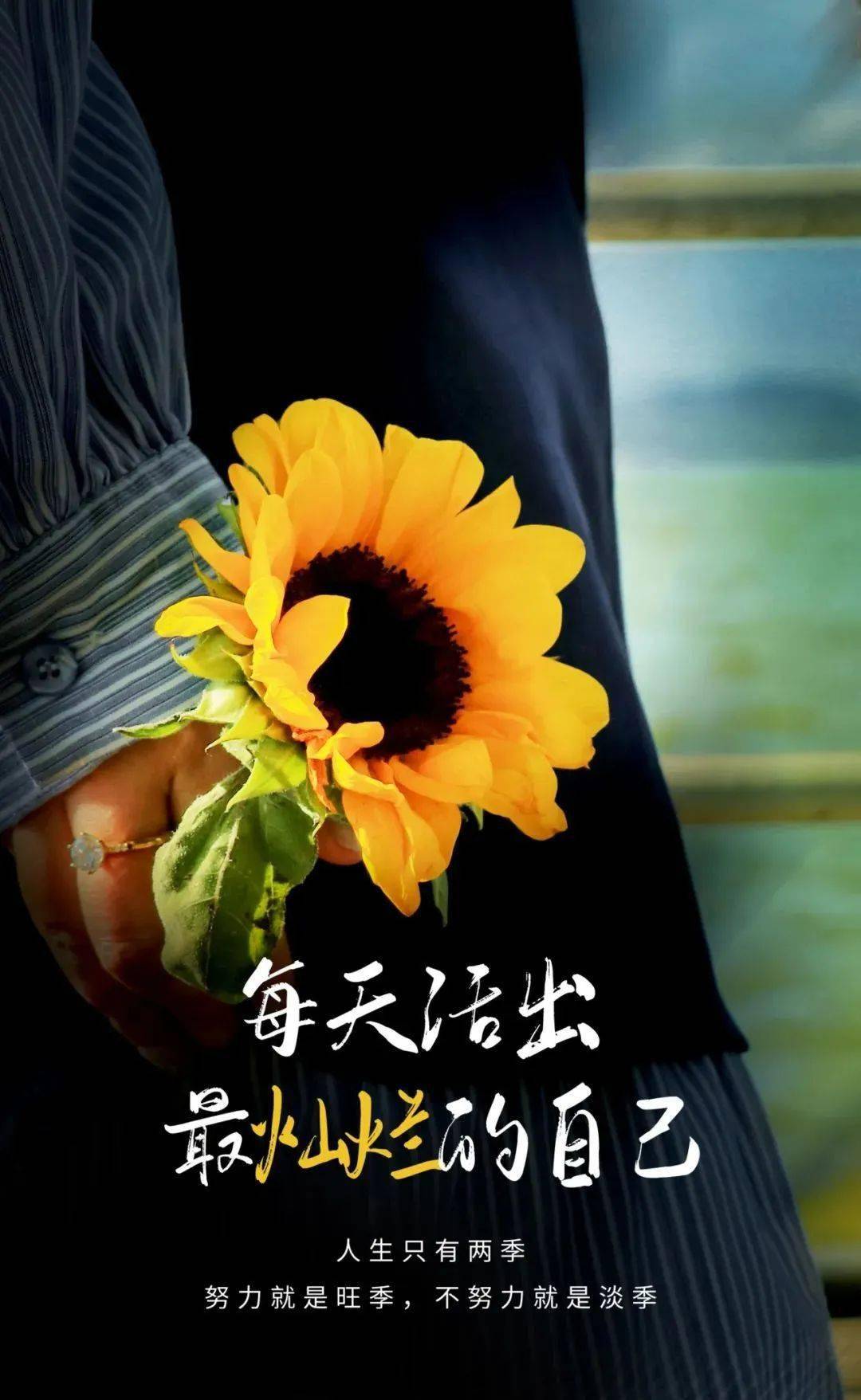 世界上最美的艳遇是遇见另一个更优秀的自己