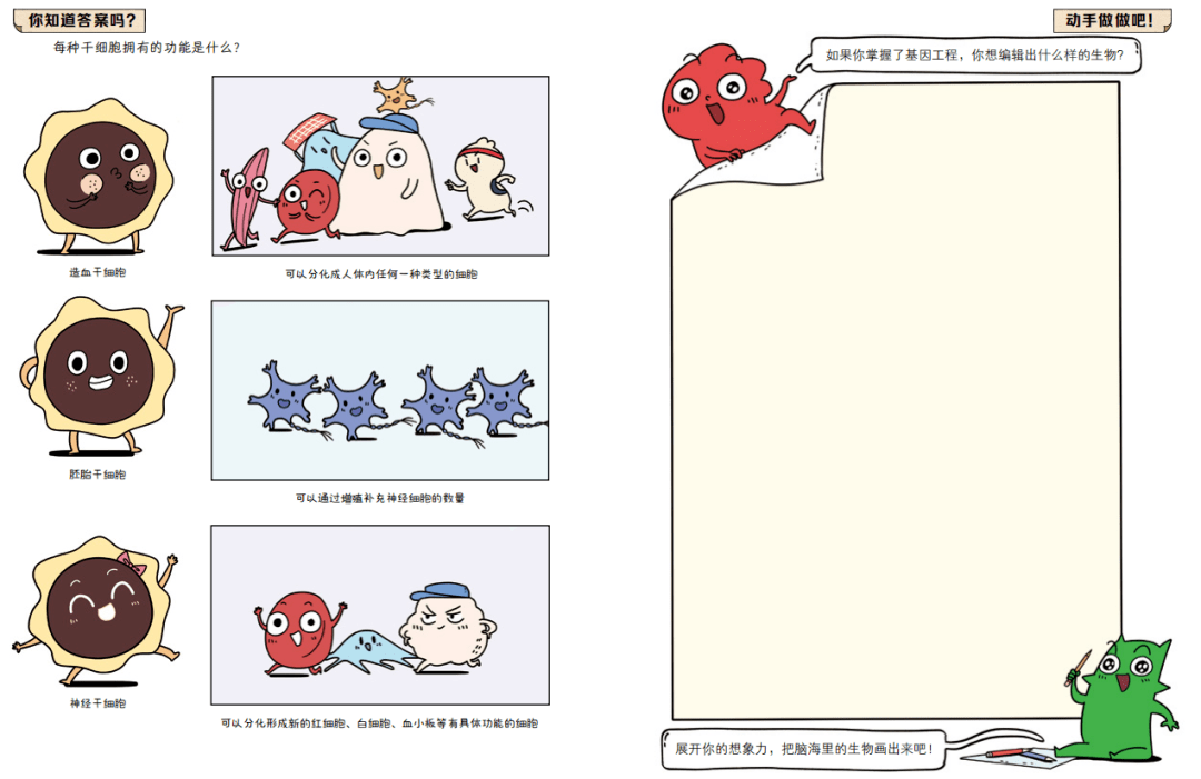 小学生一看就懂的漫画生物学 由一线教师把关知识点 有趣又严谨 学科 细胞 孩子