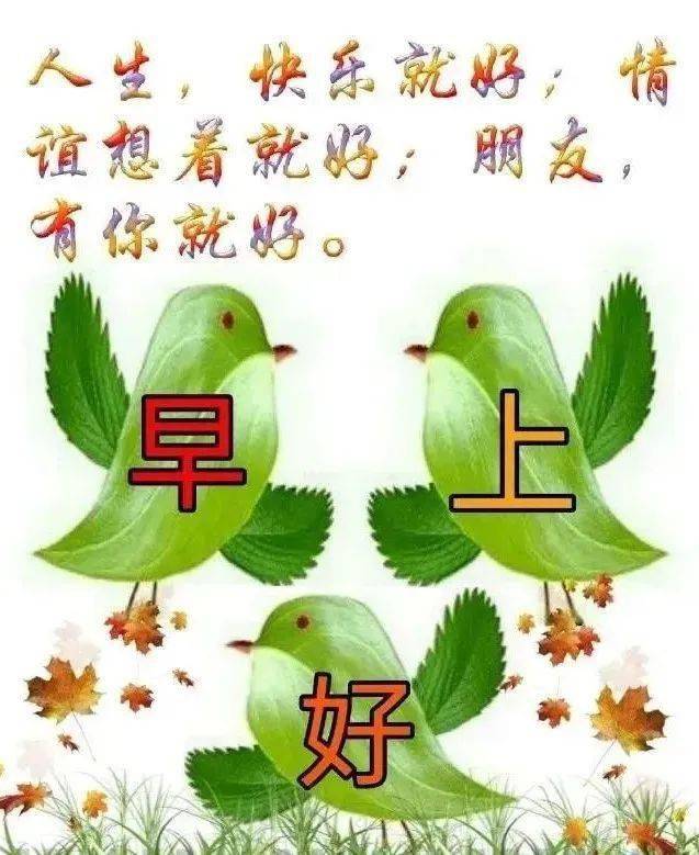 美好的一天从清晨开始感恩遇见早上好