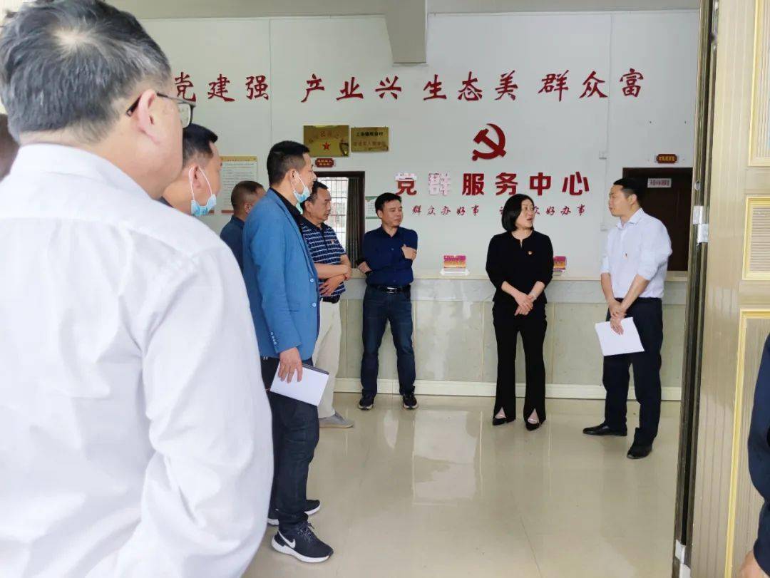 修水61三联三共刘雪萍同志到上奉镇开展村两委班子换届回头看调研