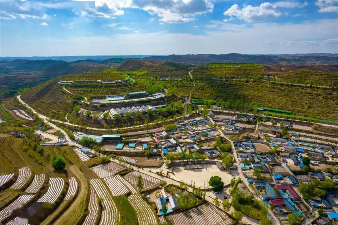 从不适宜生存到中国最美乡村宁夏这个村子凭啥