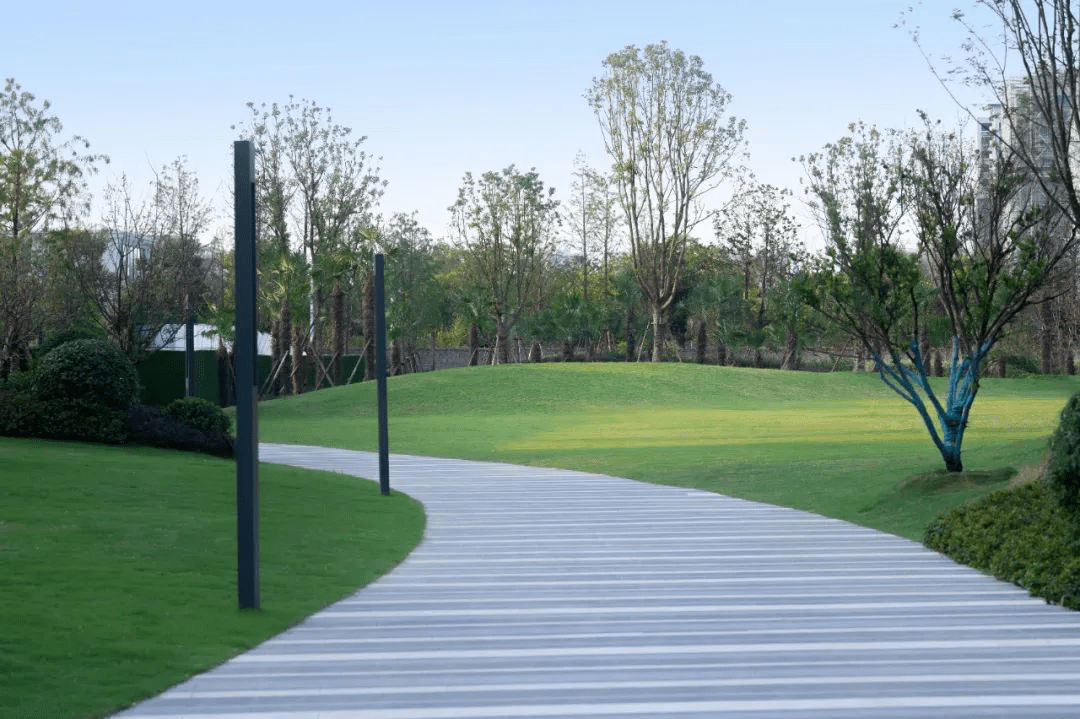 干货丨地形设计的重要性_植物_变化_问题