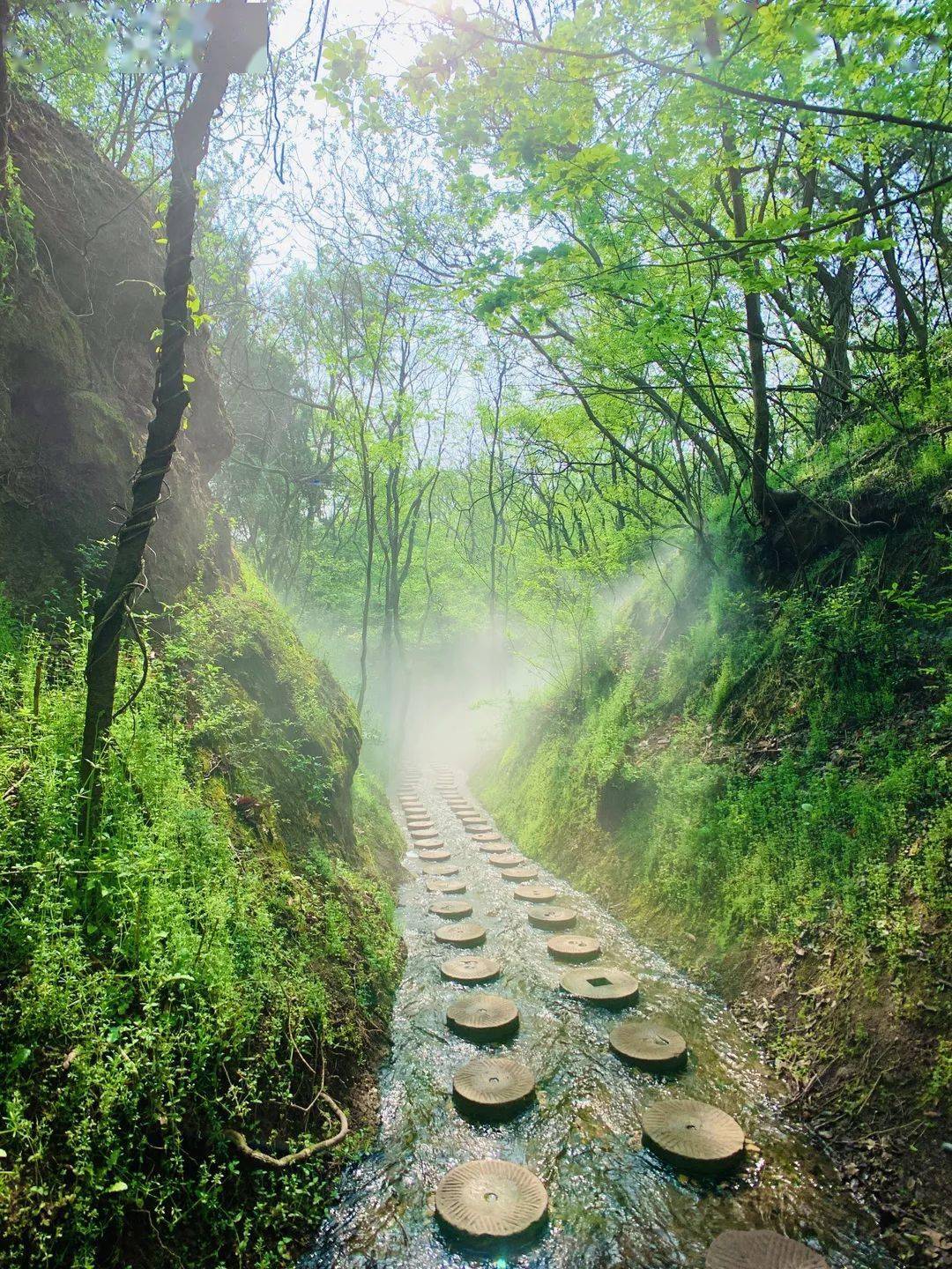 新沂2个!_旅游_景区_窑湾