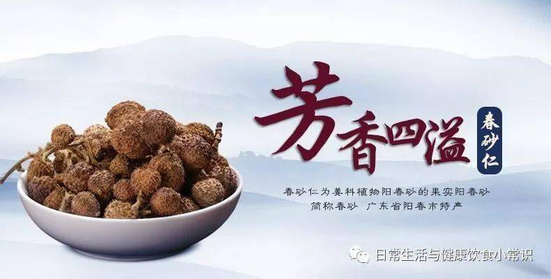 关注健康四大南药之养胃宝春砂仁的美味佳肴