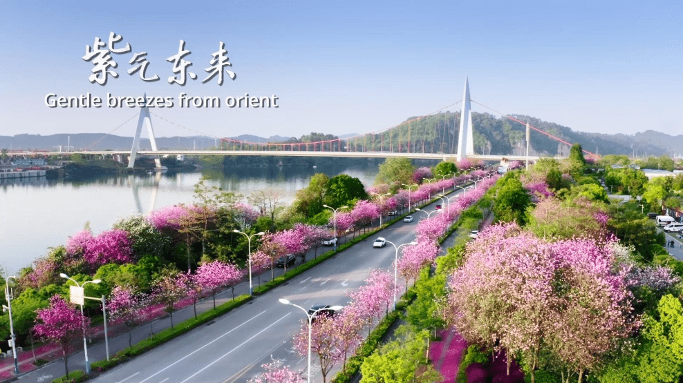 紫气东来荆奇柳州美丽中国壮美广西的龙城画卷