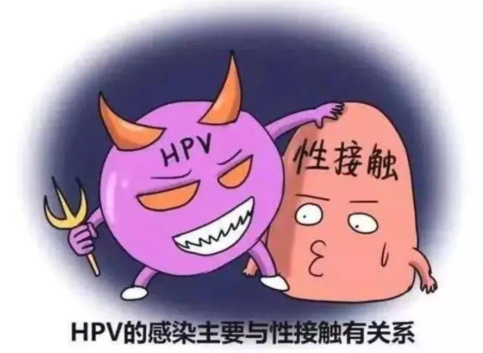 擴散感染了hpv病毒就是得了宮頸癌