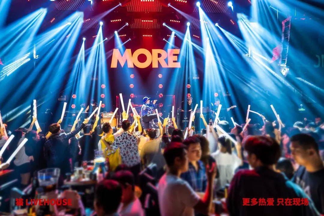 天天排队的猫livehouse开到合肥啦宝子们冲啊