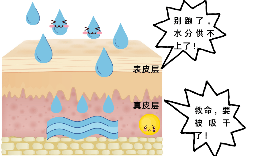 护肤的终极奥义竟然是……_肌肤_水分_皮肤