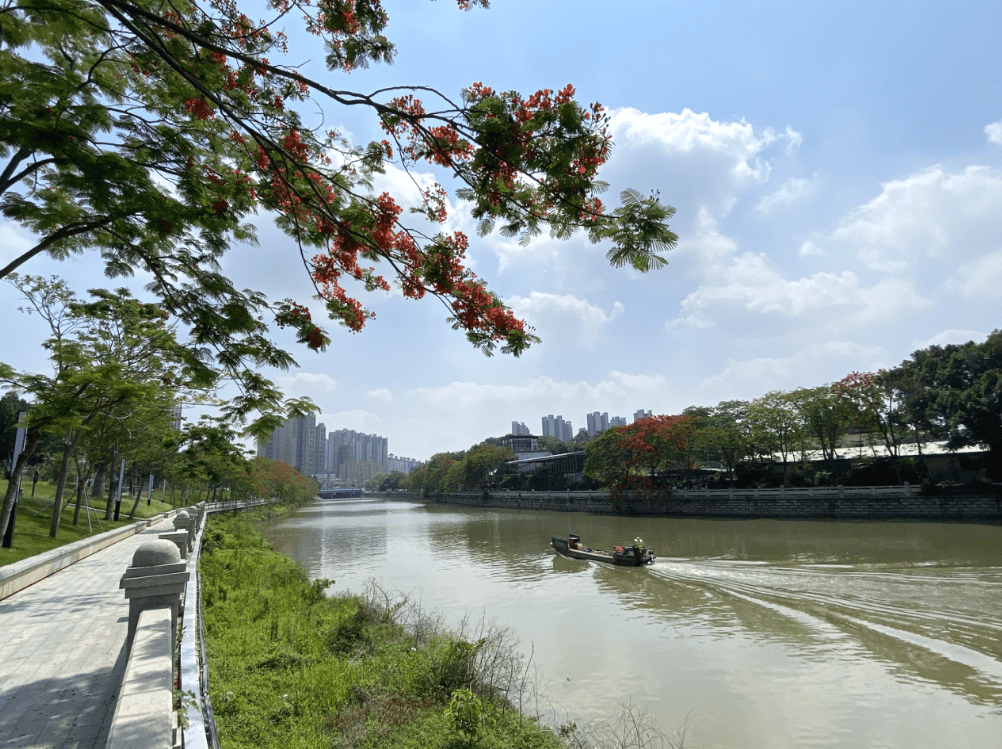 公園_濱江大道_河岸