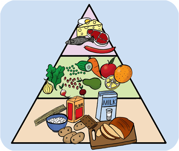 合理膳食是在平衡膳食的基础上,考虑到健康状况,地域资源,生活习惯