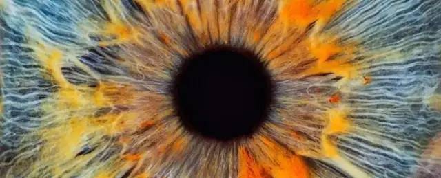 死人眼睛竟能复活?nature:死后5小时捐赠者视网膜恢复功能
