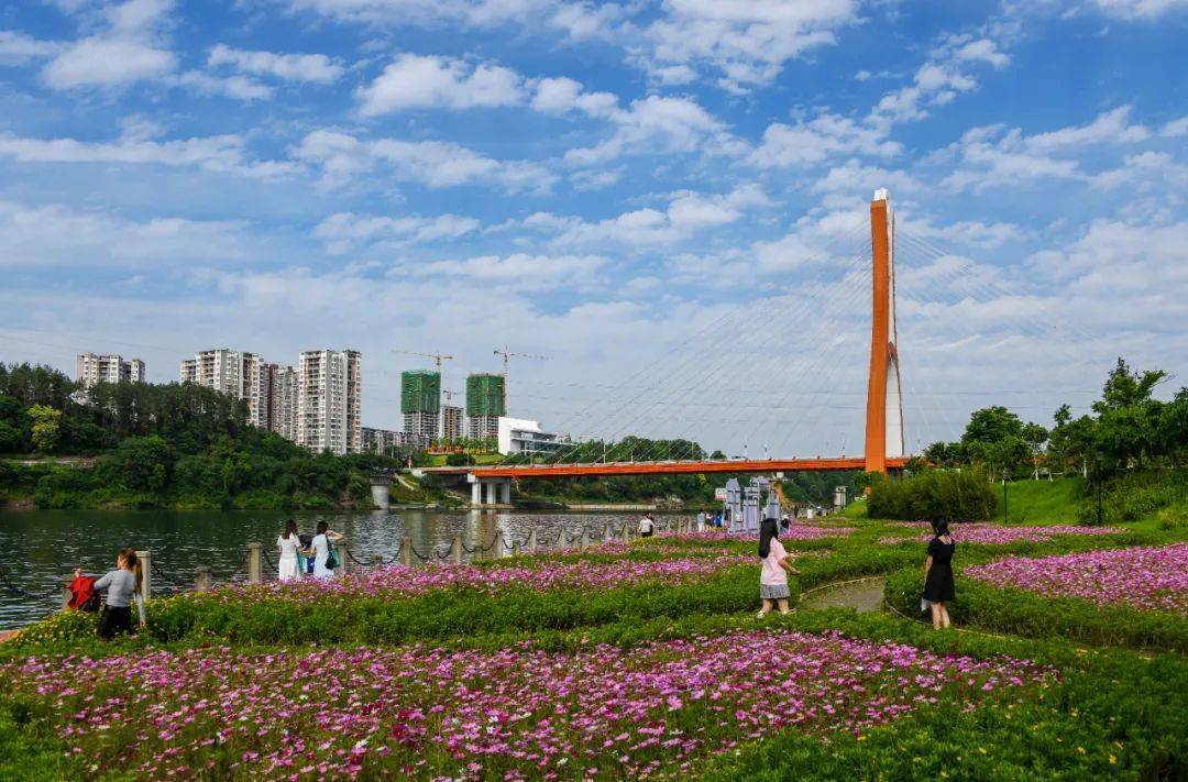 大美潼南就在家门口 | 建好城市公园 美景在身边~_卜寿林_湿地_市民