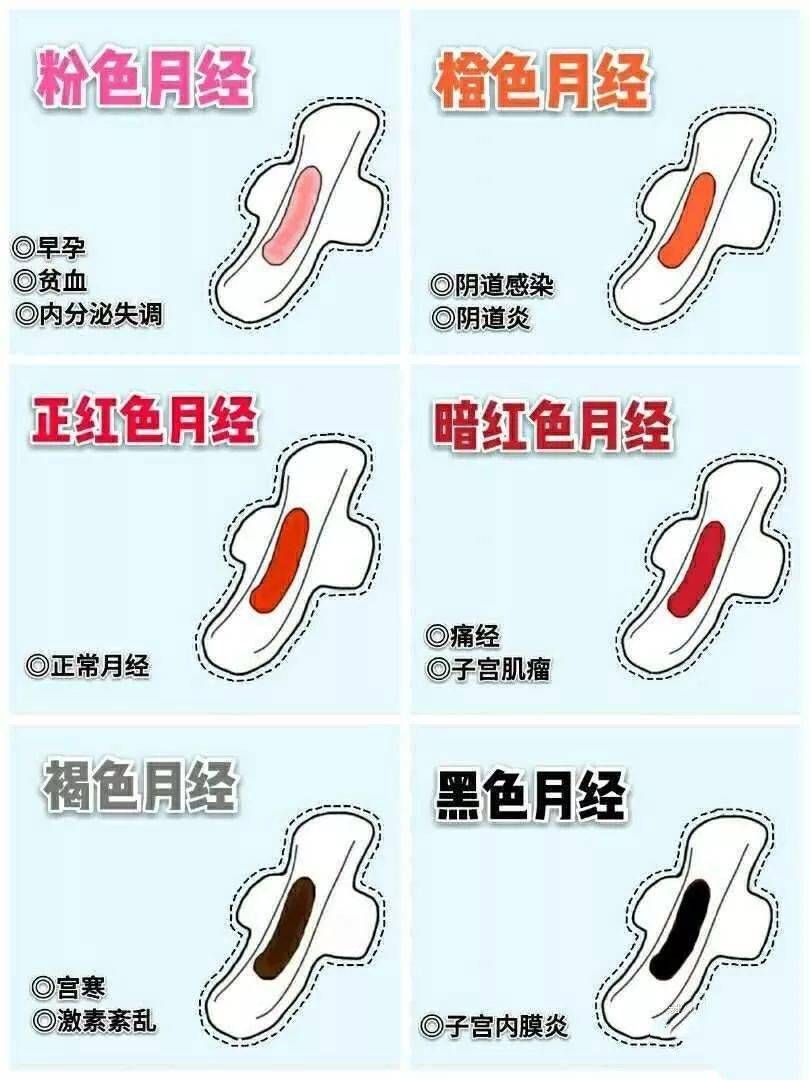 月经_内膜_颜色