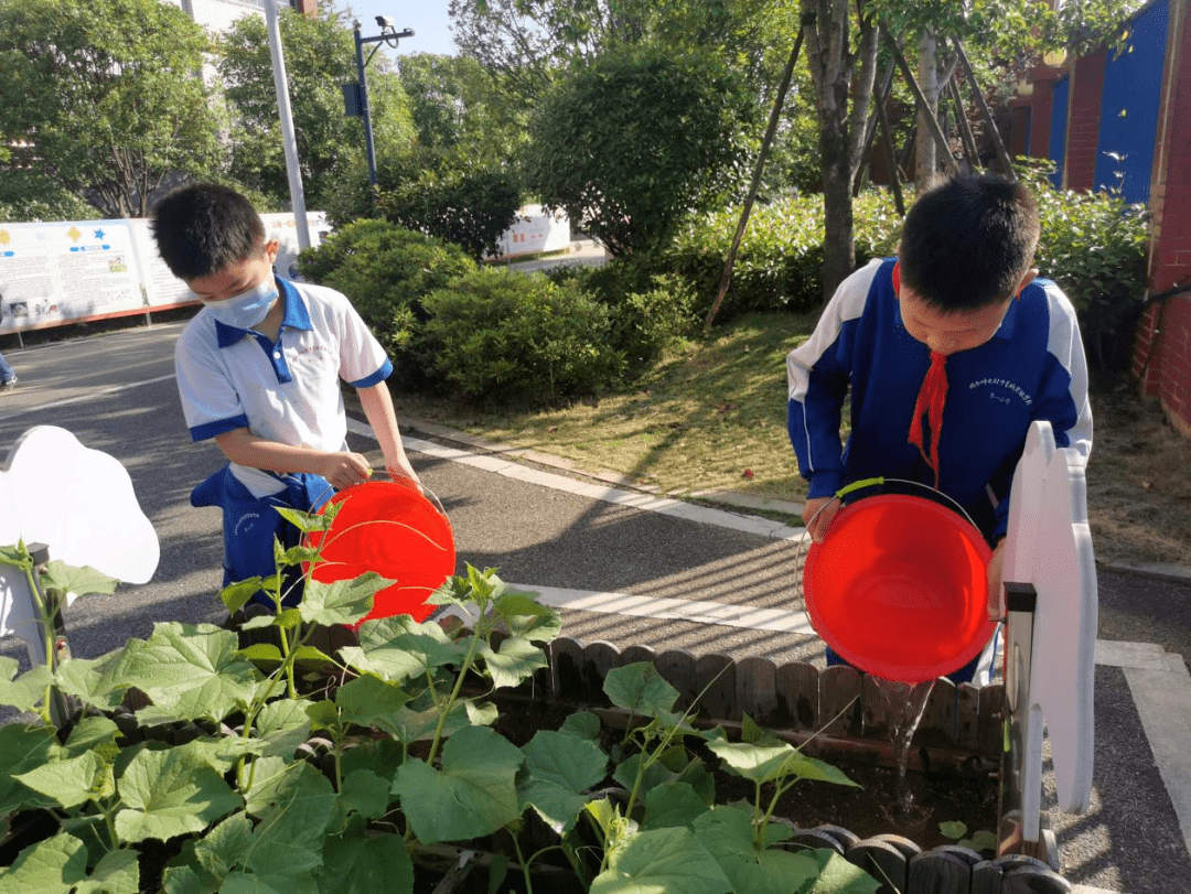 望城區大湖中學開設