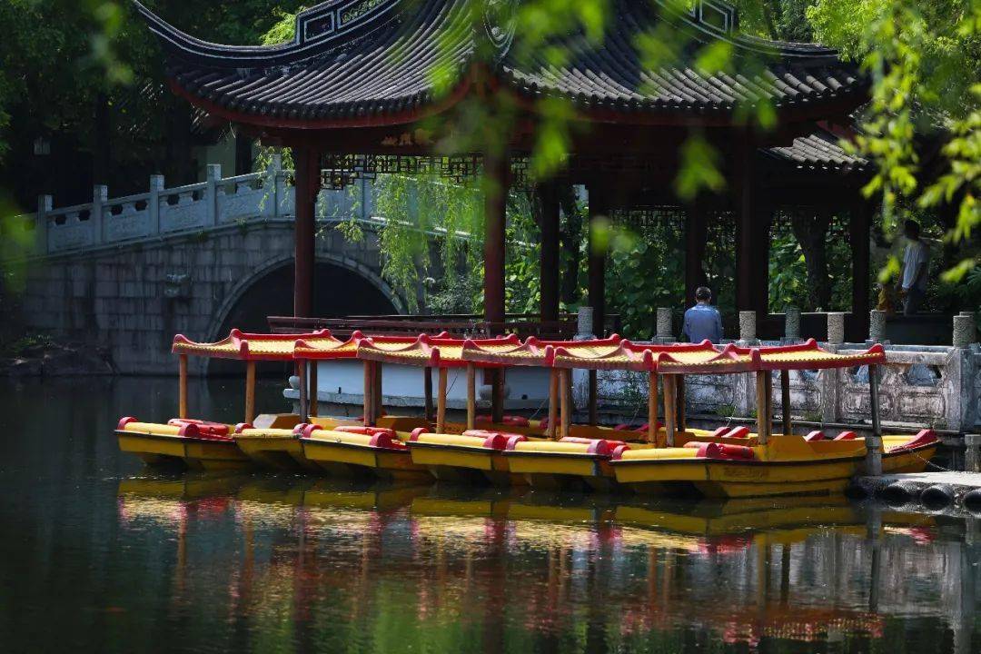 整整两个月的寂静上海之鱼古华公园风景依然美丽