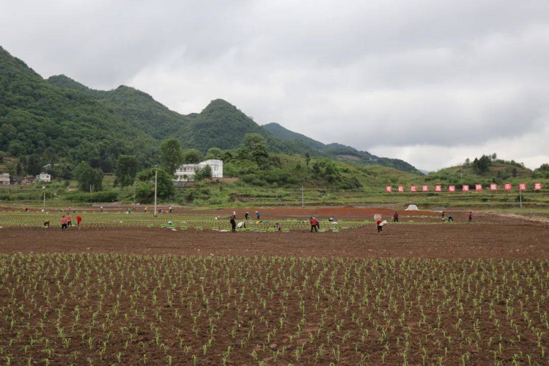 绥阳县郑场镇图片