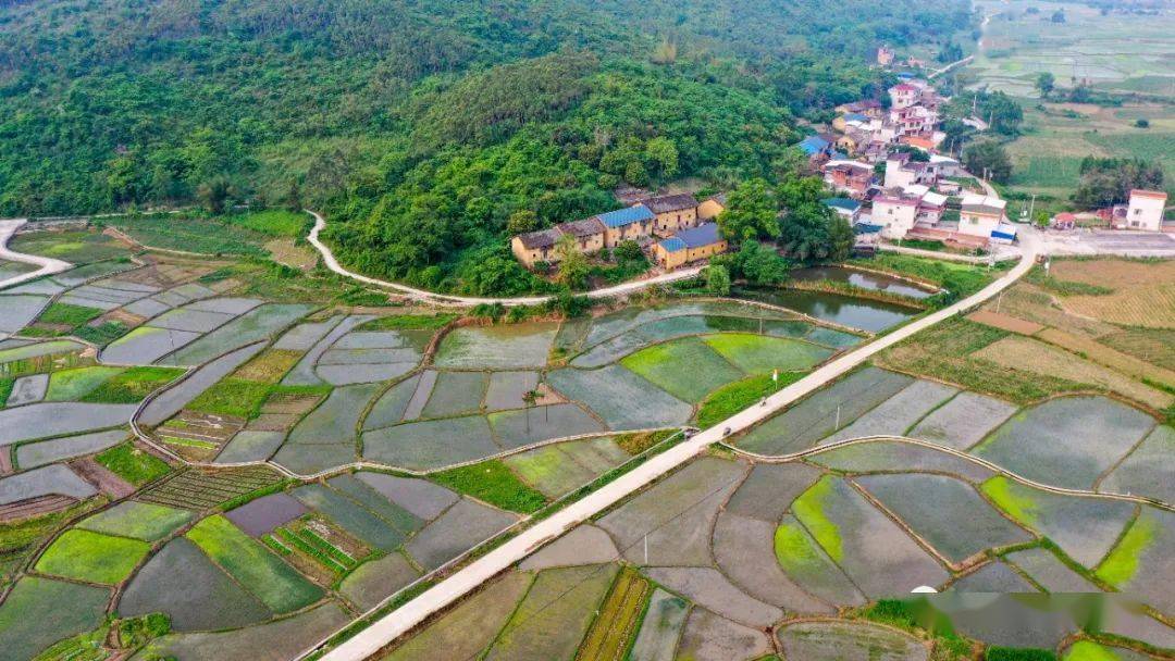 白云深处有人家,这个脱贫村走出一条幸福路……_西岸村_柳城县_太平镇