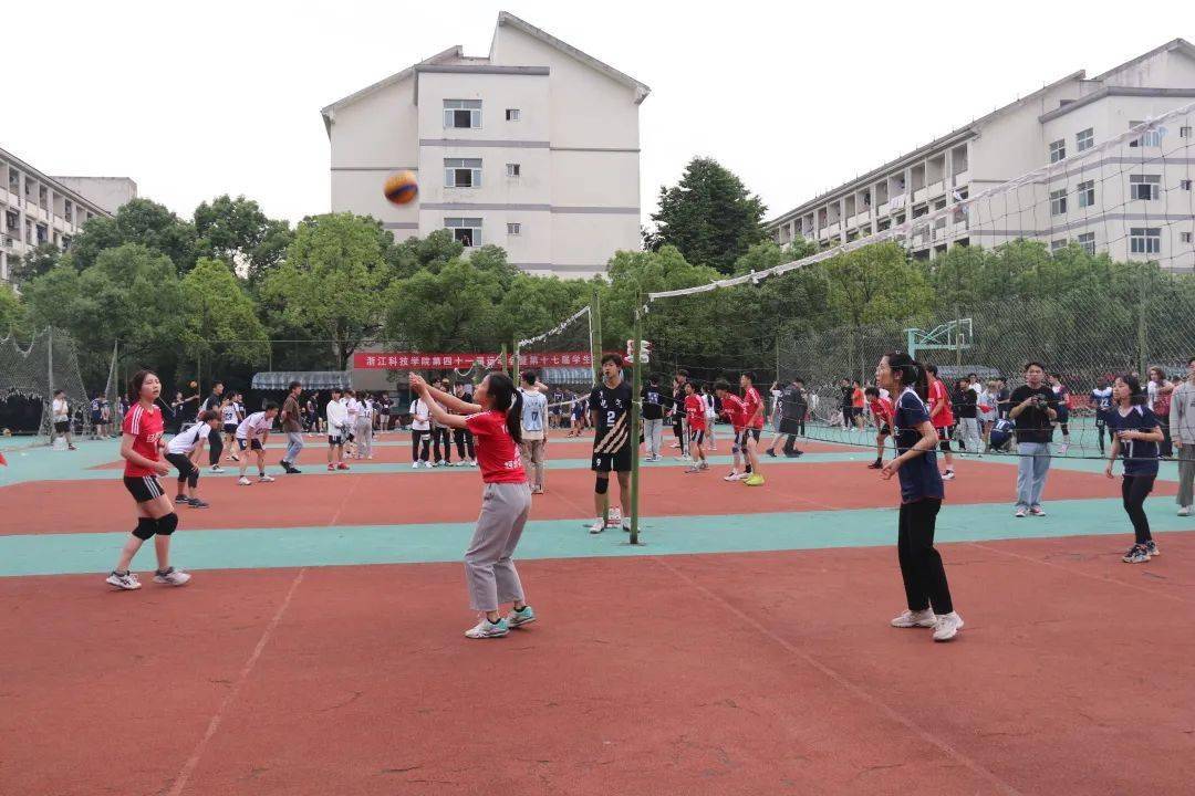 排球联赛铿锵女排捷报频传