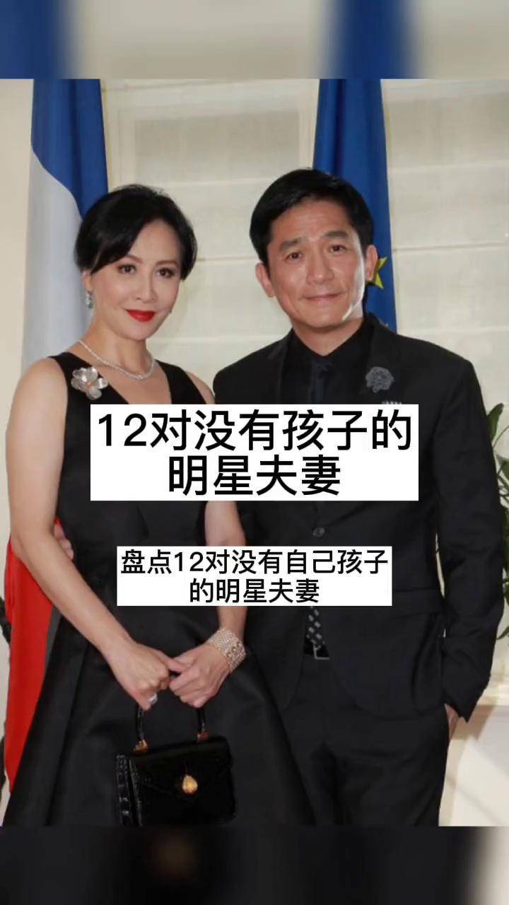 名人明星背后故事盘点12对没有自己孩子的明星夫妻