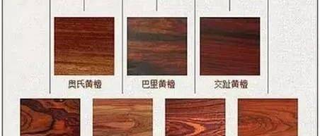 “花枝”与“白酸枝”的区别！_黄檀_巴里_射线