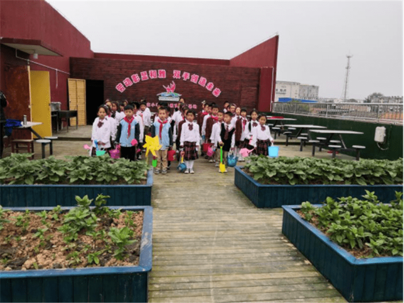 灞桥区赵庄小学劳动教育实践活动纪实_绿色_阳光_劳动