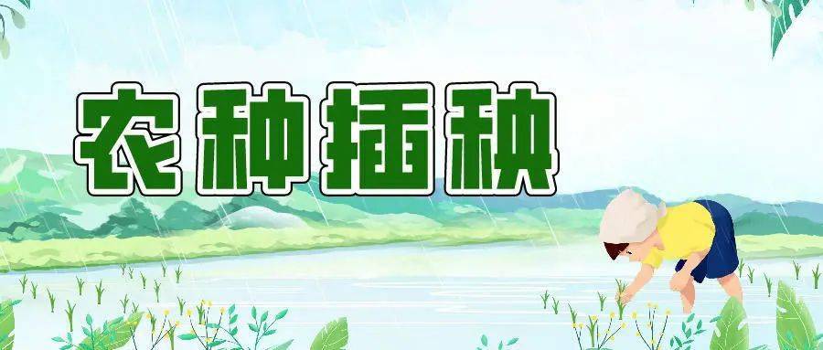 5月22日插秧活动来啦 走 去田里干农活儿 上虞 草帽 行程