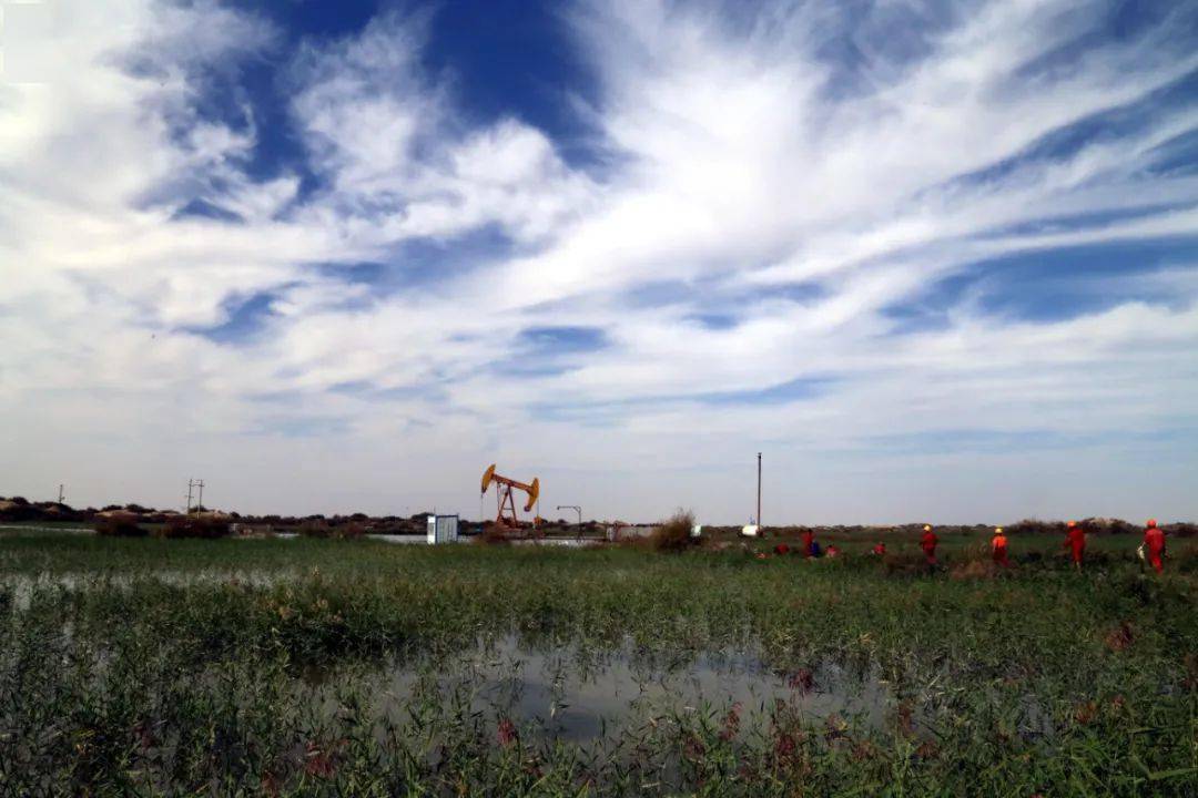 油田广角 | 最动人的瞬间,在这里_戈壁_塔河_石油人