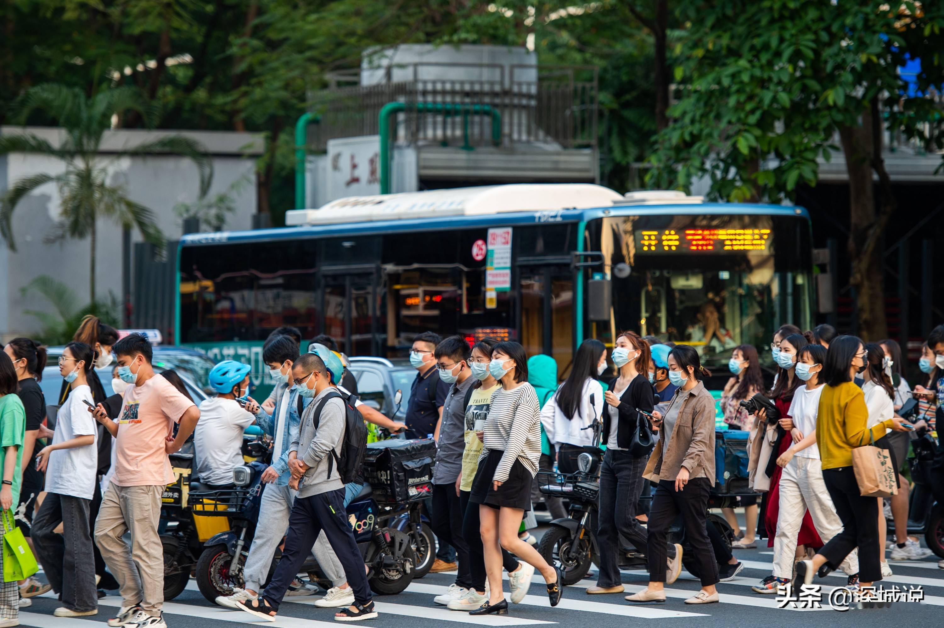 深圳晚高峰看城市跳动的脉搏每个人都在写自己的深圳故事