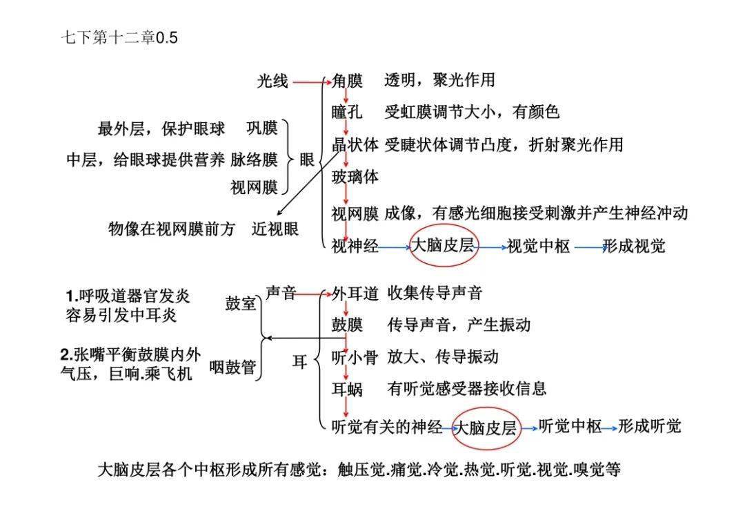 眼睛思维导图图片