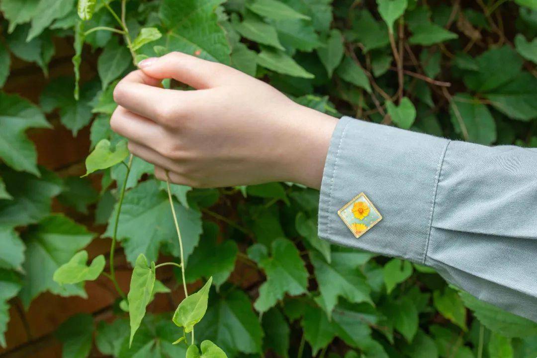 大花金鸡菊徽章赤心再赴新征途朝吐丹苏月下饮清露