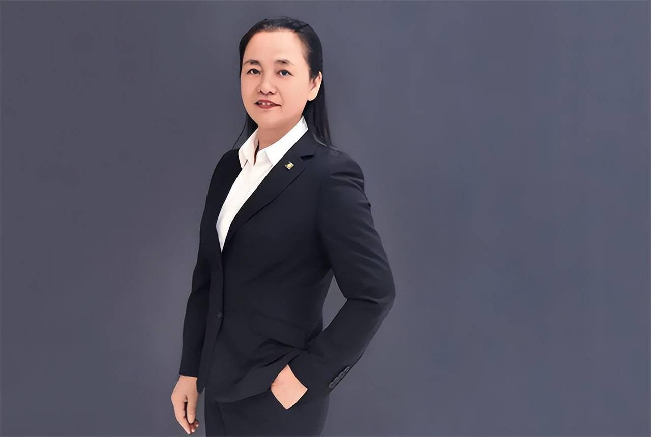 现身价超千亿_范红卫_发展_集团