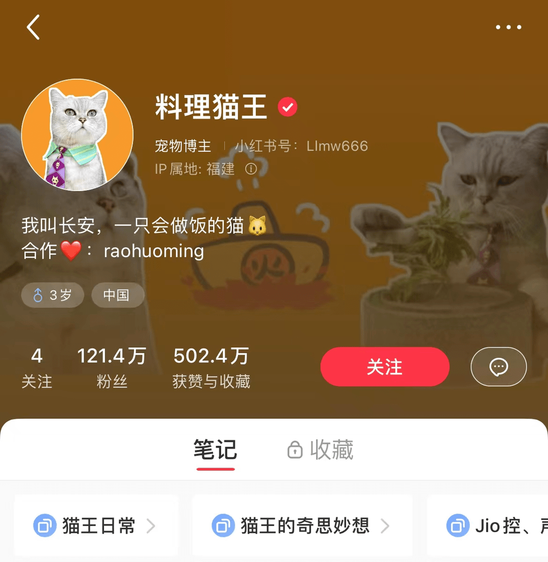 圖2:料理貓王的小紅書主頁用水平營銷3步拆解是,運營人先聚焦料理這個