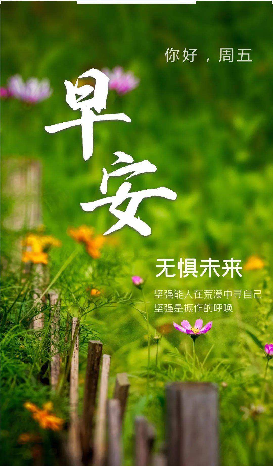 早安心语 22年5月日 舒情 舒怀 祝福 早安心语 22年5月日 舒情 舒怀 祝福